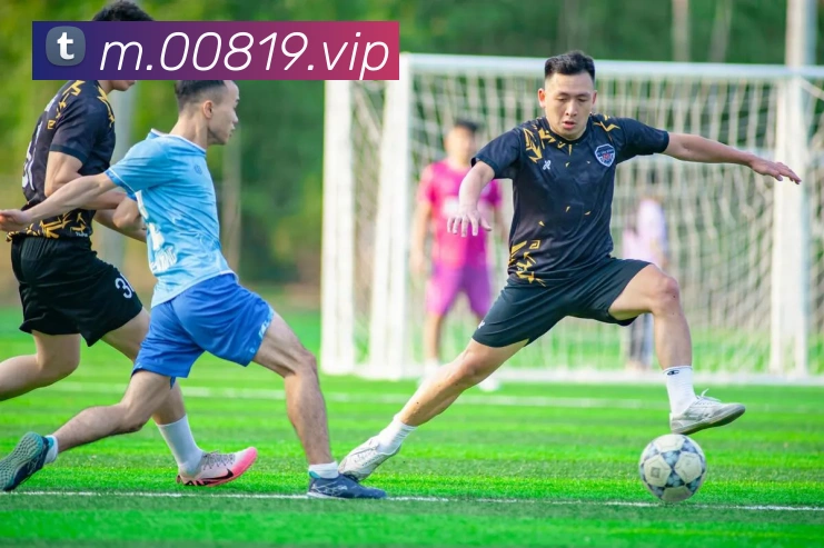 澳门线上娱乐全站App